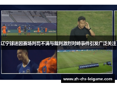 辽宁球迷因赛场判罚不满与裁判激烈对峙事件引发广泛关注